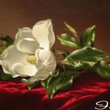 Схема вышивки «Магнолия 1»