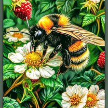 Схема вышивки «Земляника»