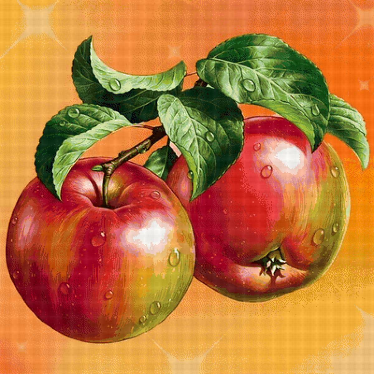 яблоки - предпросмотр