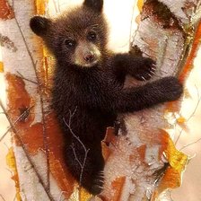 Схема вышивки «№2887953»