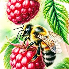 Схема вышивки «Пчелы»