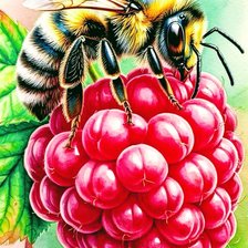 Схема вышивки «Пчелы»