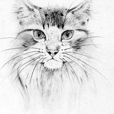 Схема вышивки «Кот. Набросок»