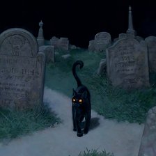 Схема вышивки «Кот Кинг»