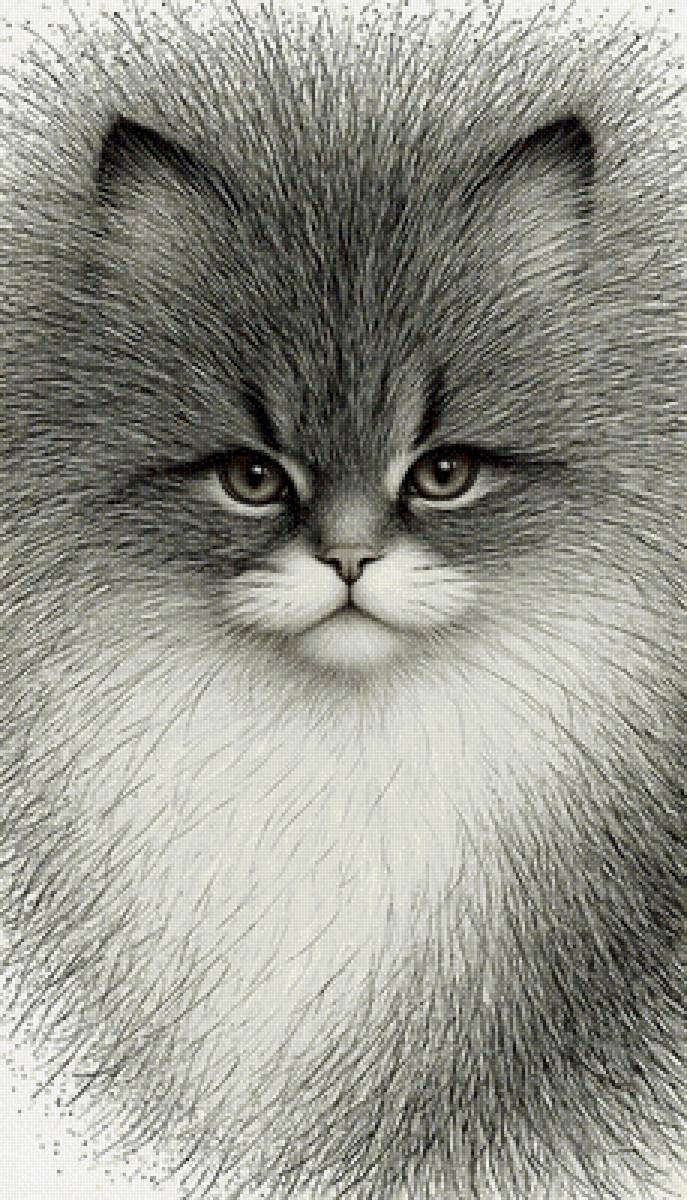 №2889031 - предпросмотр