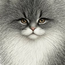 Схема вышивки «№2889060»