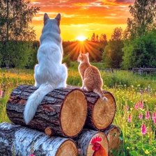 Схема вышивки «На закате»