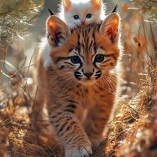 Схема вышивки «Друзья на прогулке»