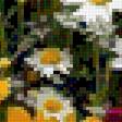 Предпросмотр схемы вышивки «Полевые цветы» (№2889401)