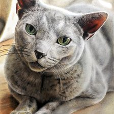 Схема вышивки «№2889544»