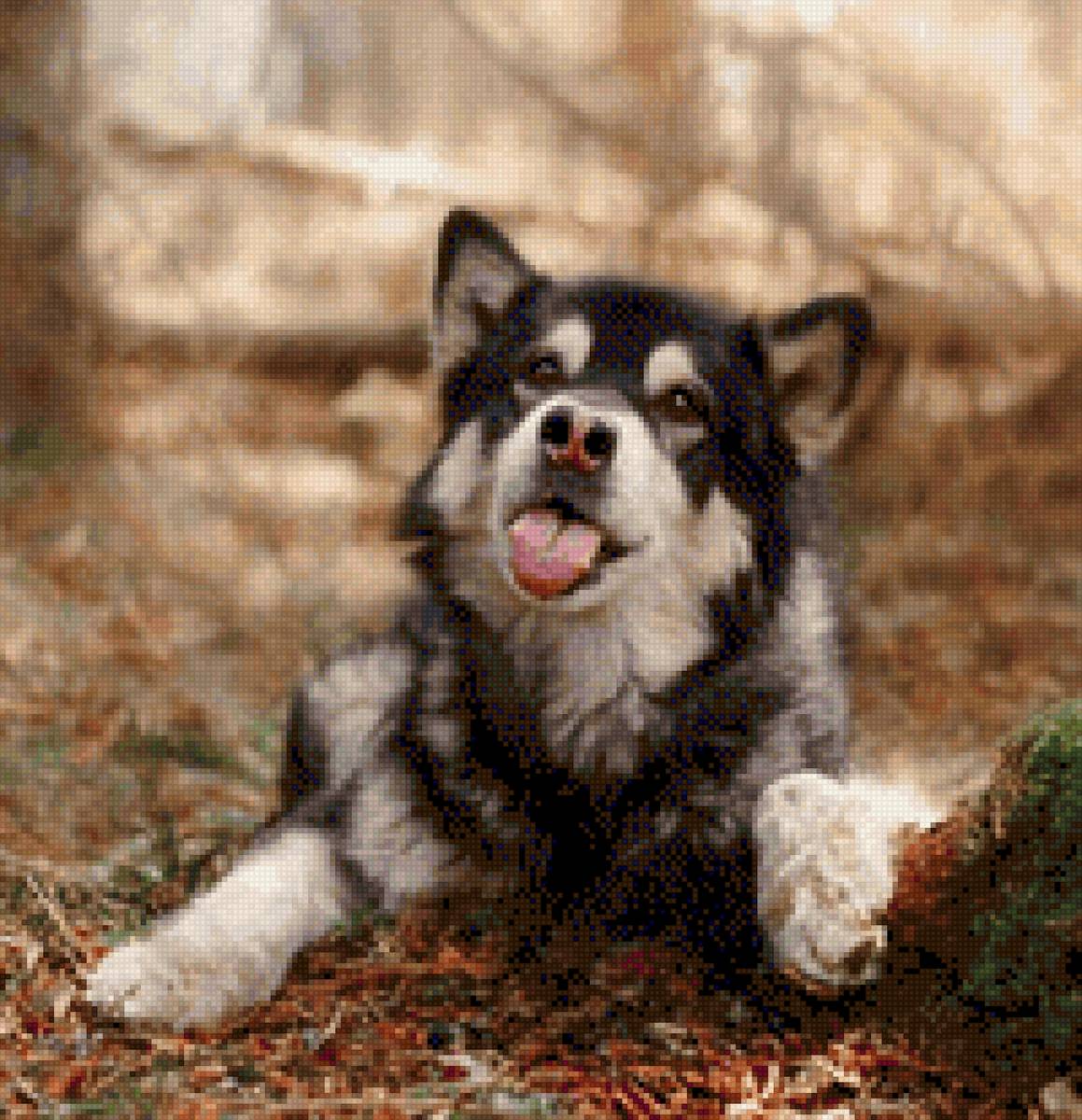 5 - предпросмотр