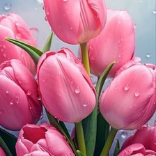 Схема вышивки «Тюльпаны»