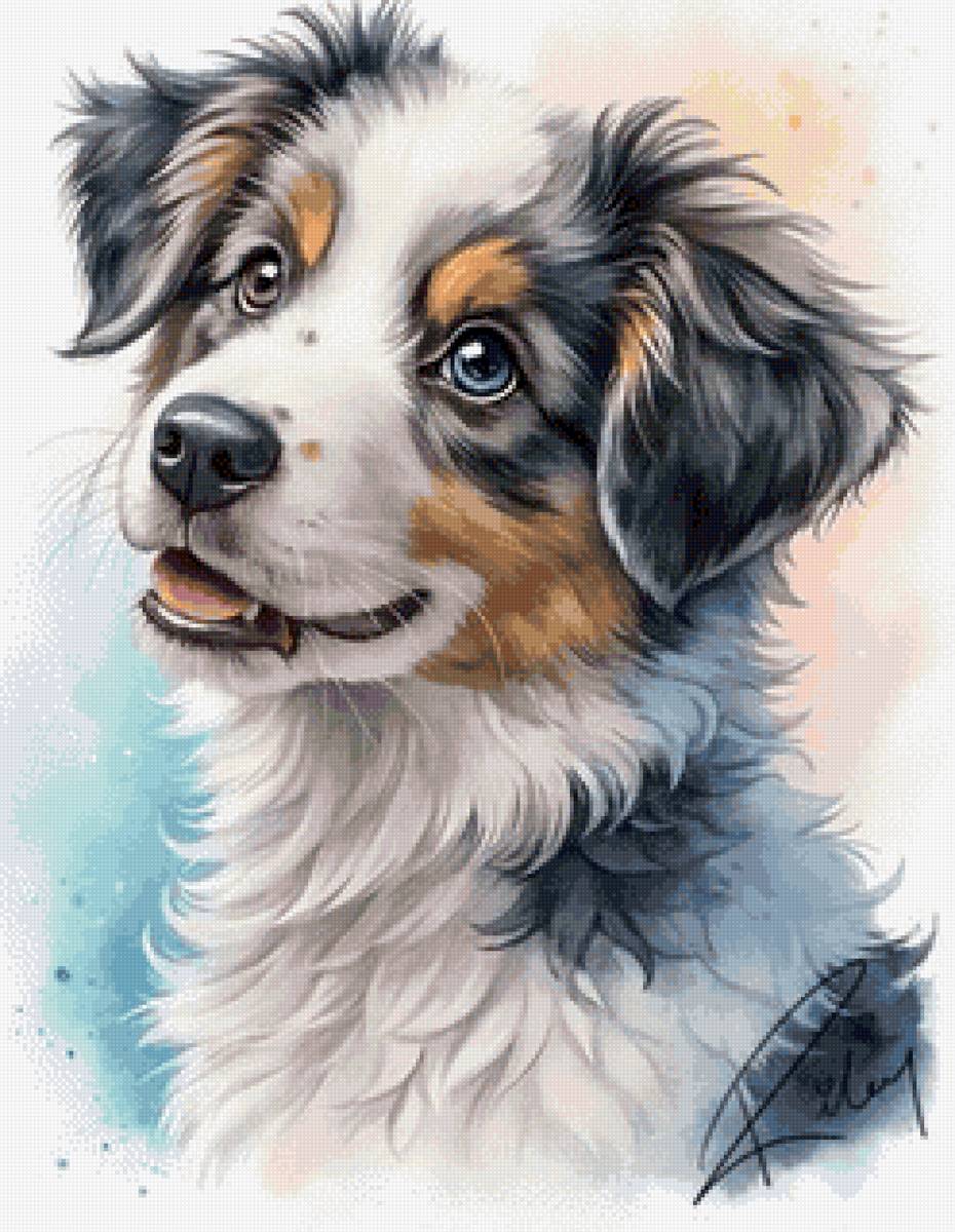 Дружок - домашние животные, собака - предпросмотр