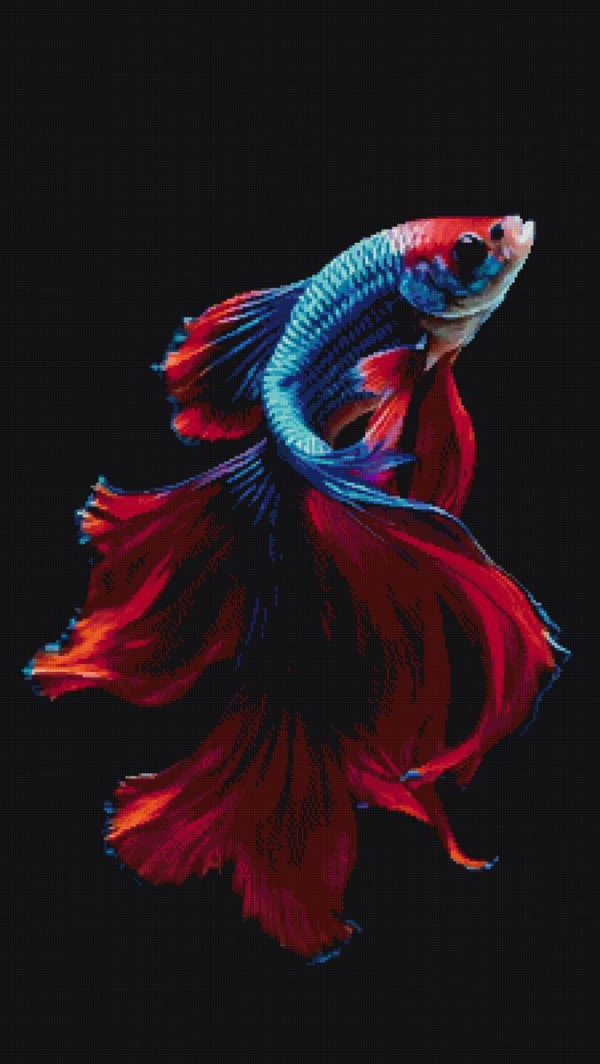 Рыбка - предпросмотр