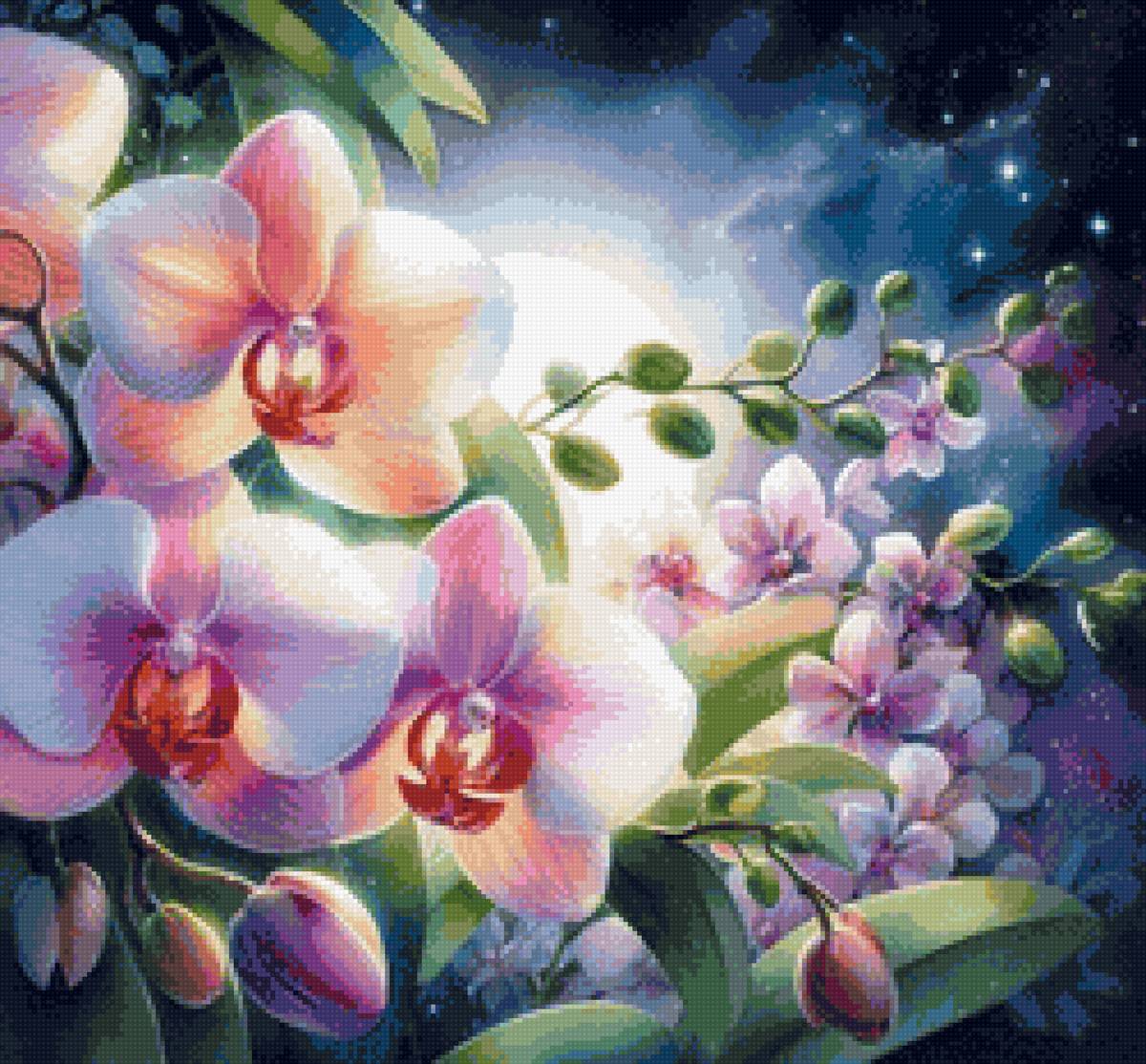 орхидеи - цветы - предпросмотр