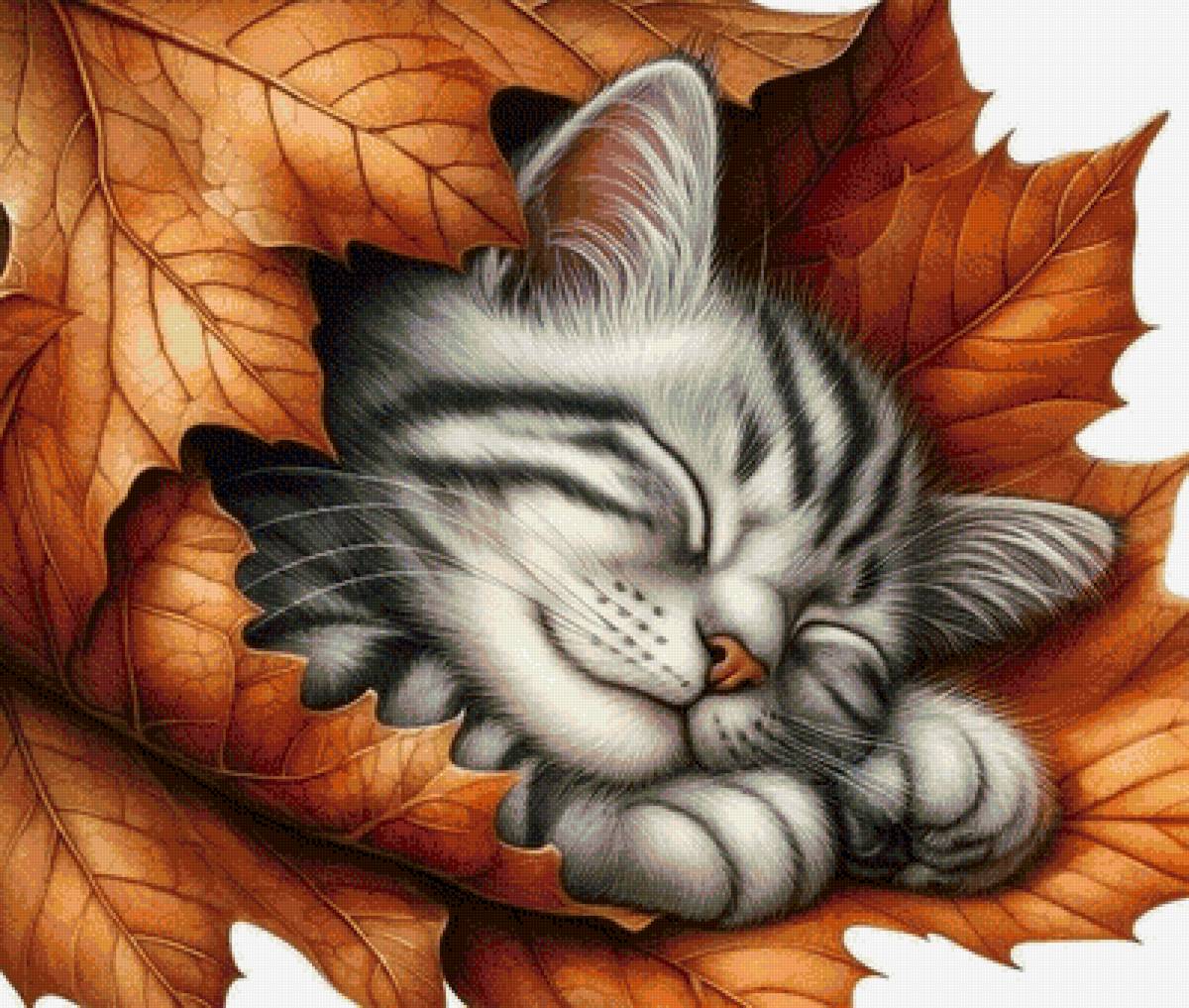 котик - предпросмотр