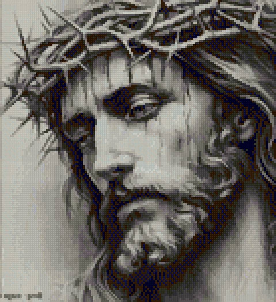 Corona de cristo - предпросмотр