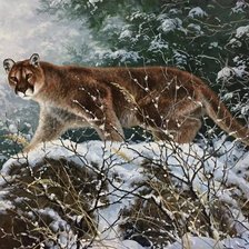 Схема вышивки «Пума. Абрахам Хантер»