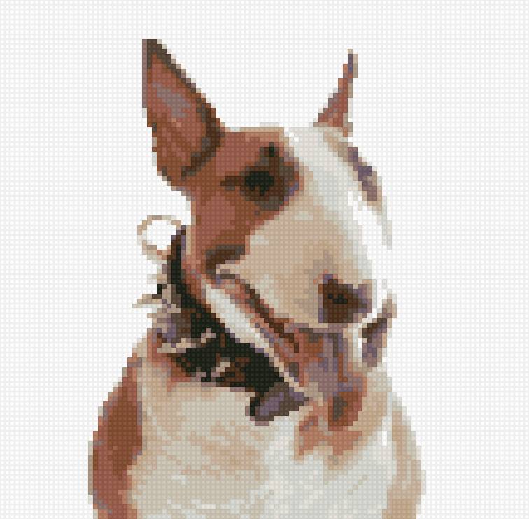 Булка - собака, бультерьер - предпросмотр