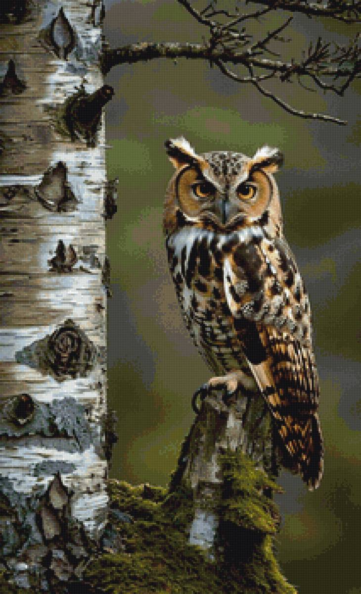 №2891833 - предпросмотр