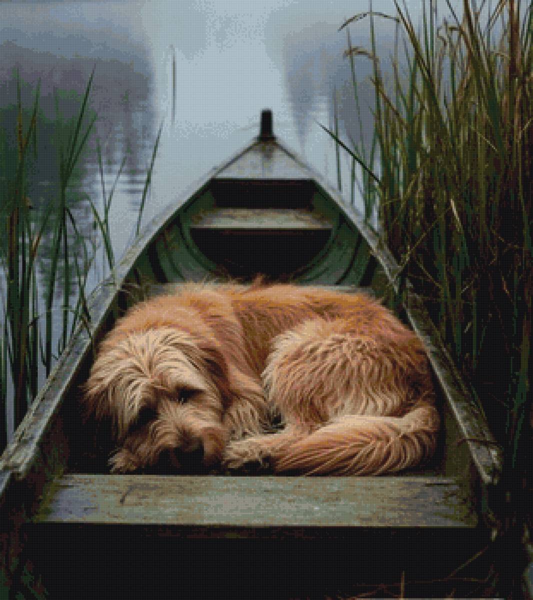 №2891834 - предпросмотр