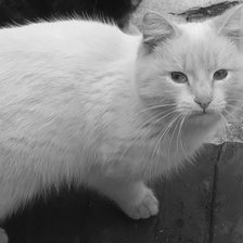 Схема вышивки «Мишкп»