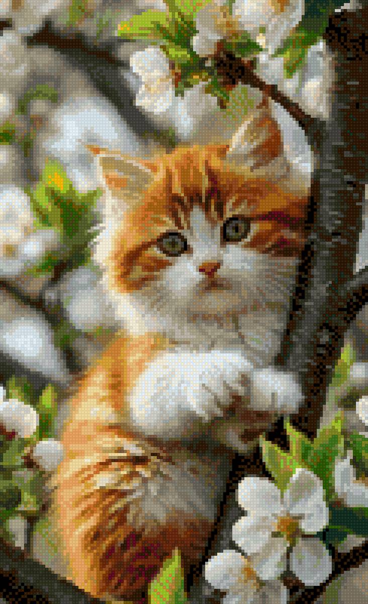 Рыжий котёнок - котенок, животные - предпросмотр