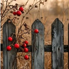 Схема вышивки «Autumn»