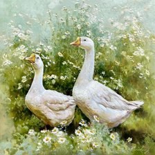 Схема вышивки «Гуси»