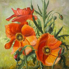 Схема вышивки «Маки»