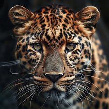 Схема вышивки «леопард»