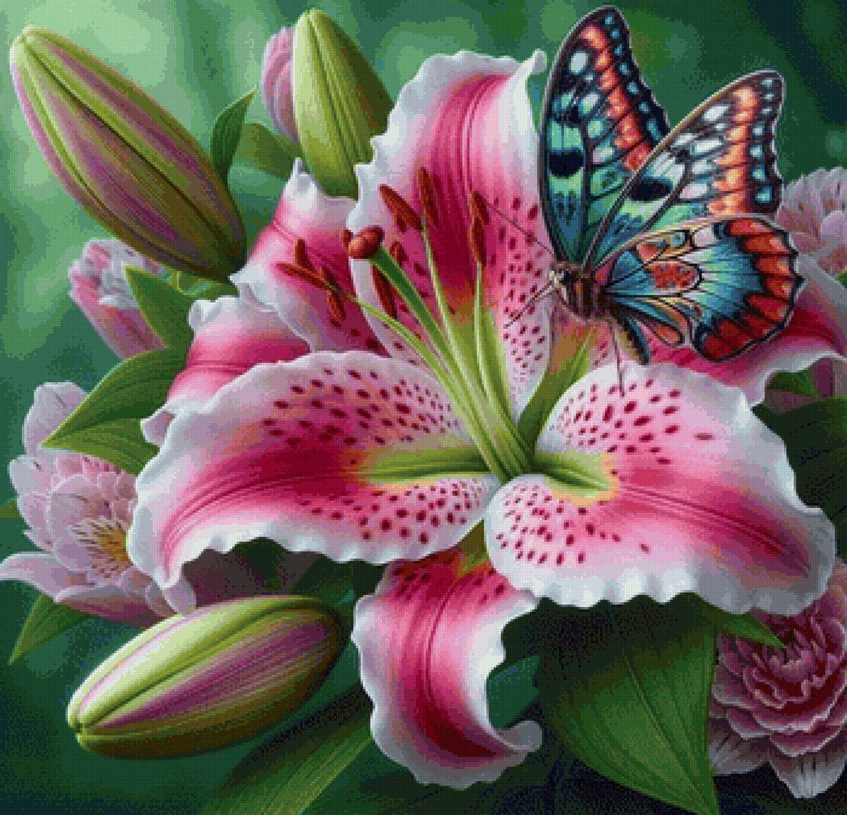 Лилия - цветы - предпросмотр