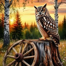 Схема вышивки «Сова»