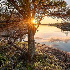 Схема вышивки «Загадочная Карелия»