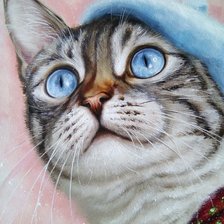 Схема вышивки «Котик в берете»