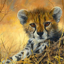 Схема вышивки «Детёныш гепарда. Люси Билодау»