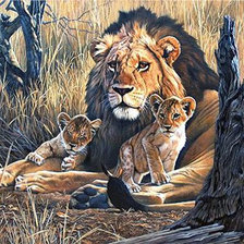 Схема вышивки «Львиный прайд. Дрю Хантер»