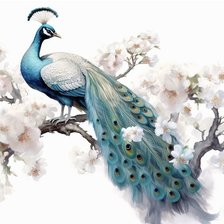 Схема вышивки «павлин»