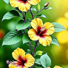 Схема вышивки «Цветы»