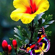 Схема вышивки «Цветы»