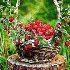 Схема вышивки «Лукошко земляники»