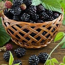 Схема вышивки «Ежевика поспела»