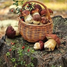 Схема вышивки «Корзинка маловата...»