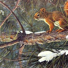 Схема вышивки «Белочка. Роберт Бейтман»