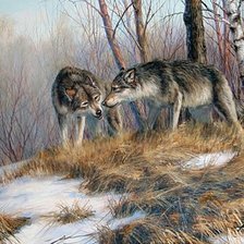 Схема вышивки «Волки. Татьяна Данчурова»