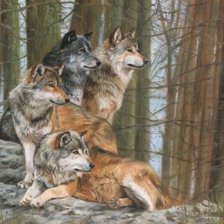 Схема вышивки «Стая. Дэвид Стрибблинг»