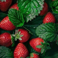 Схема вышивки «Клубничка»