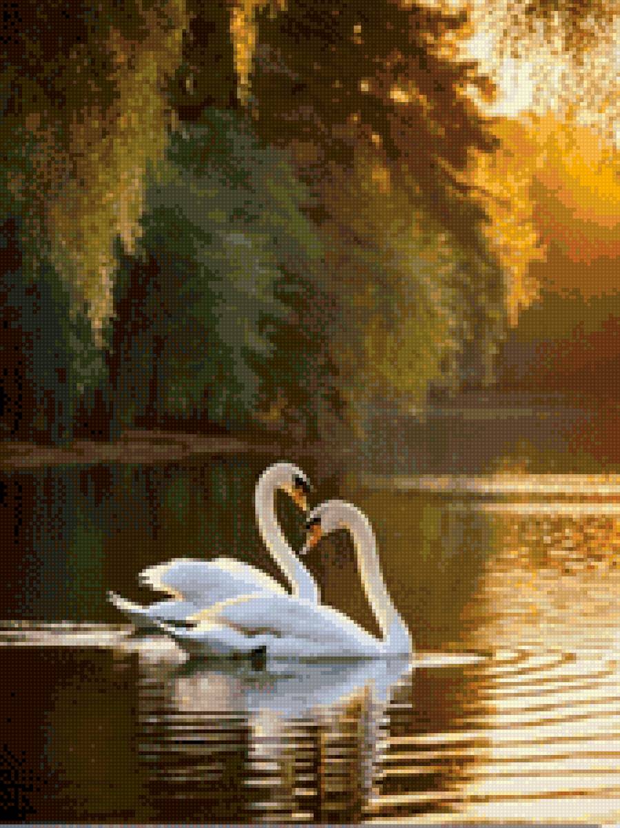 Лебеди - предпросмотр