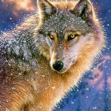 Схема вышивки «Волк. Карл Богл»