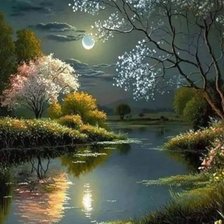 Схема вышивки «Летняя ночь»